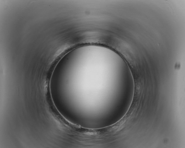X0000094360160200711091523