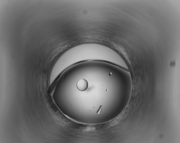 X0000094360162200711091523