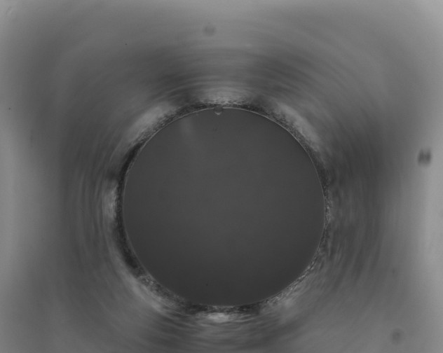 X0000094360163200711091523