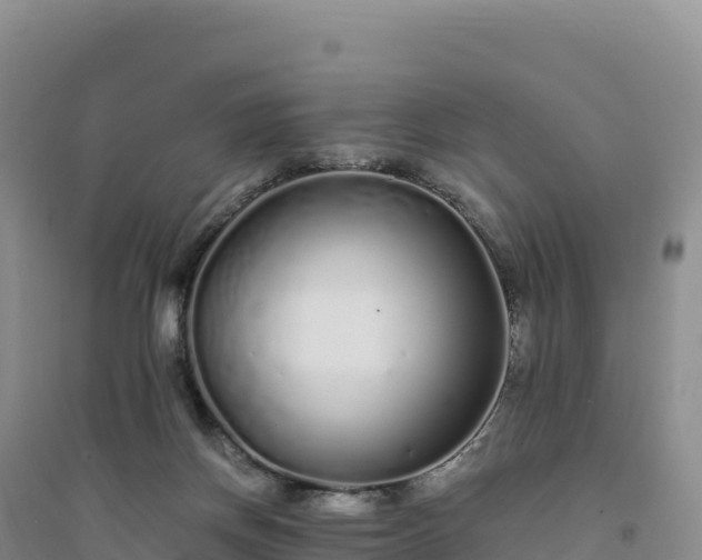 X0000094360166200711091523