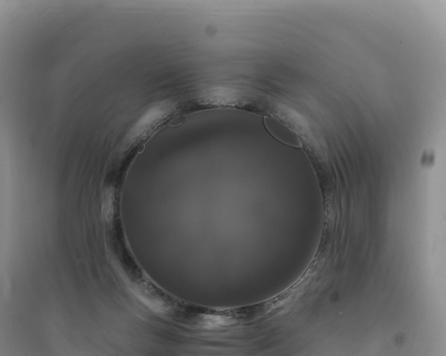 X0000094360167200711091523