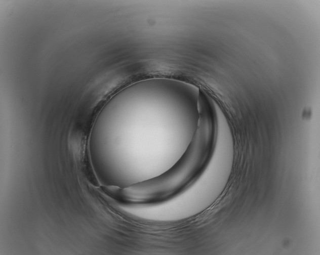 X0000094360168200711091523