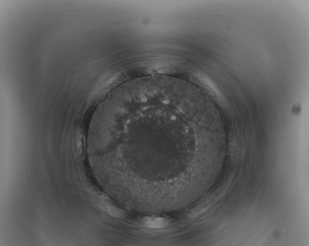 X0000094360169200711091523