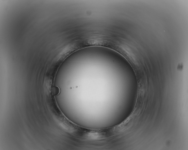 X0000094360171200711091523