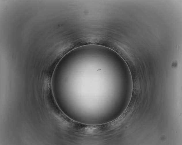 X0000094360172200711091523