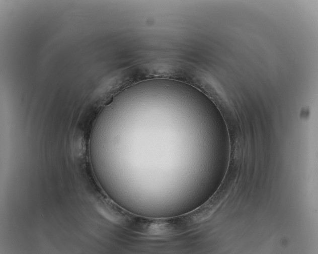 X0000094360173200711091523