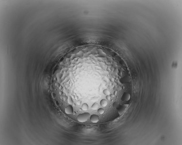 X0000094360175200711091523