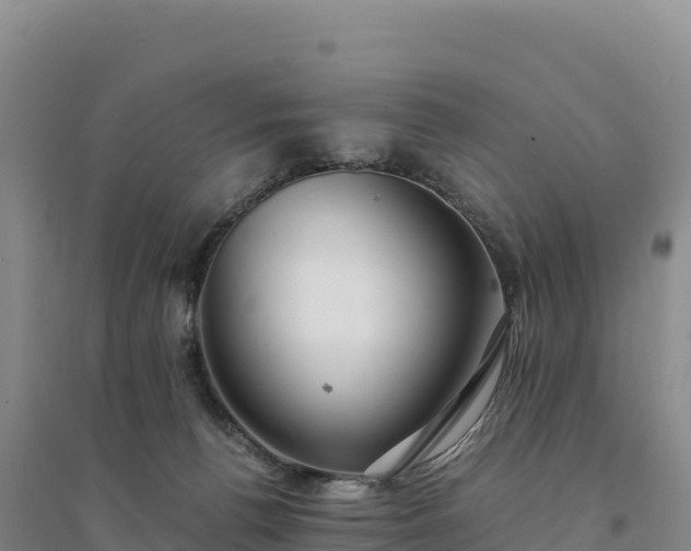 X0000094360176200711091523