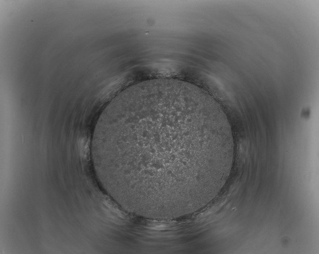 X0000094360177200711091523