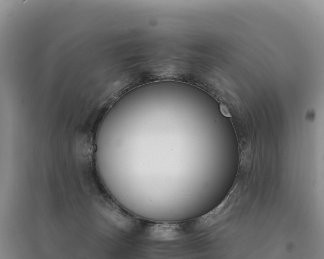 X0000094360179200711091523