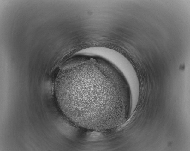 X0000094360180200711091523