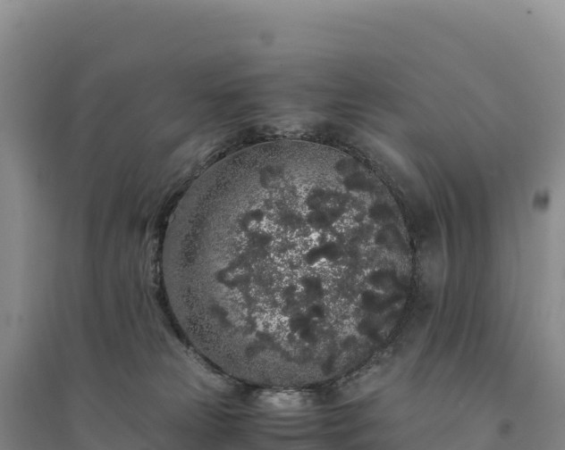 X0000094360181200711091523