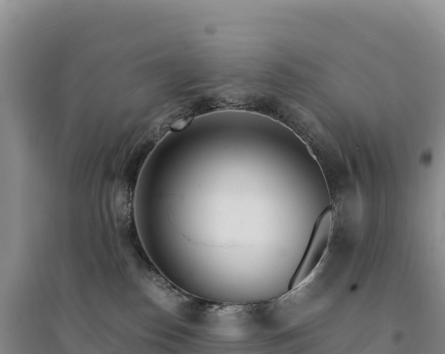 X0000094360186200711091523