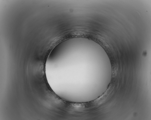 X0000094360187200711091523