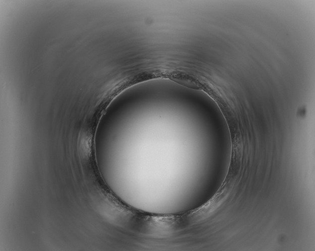 X0000094360188200711091523