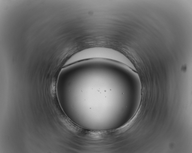 X0000094360190200711091523