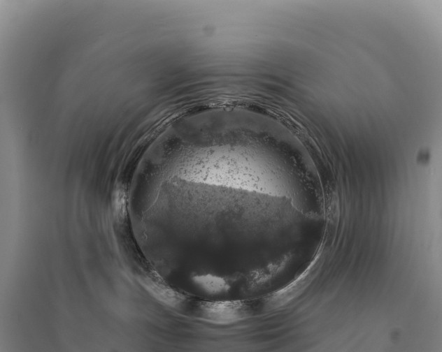 X0000094360191200711091523