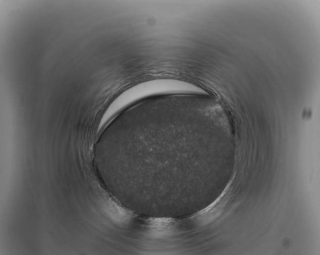 X0000094360192200711091523