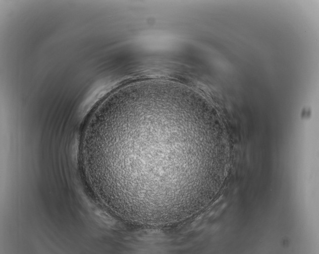 X0000094360194200711091522