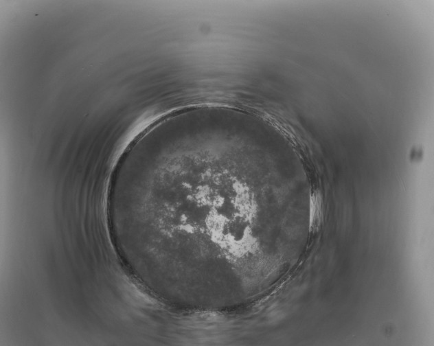 X0000094360195200711091522