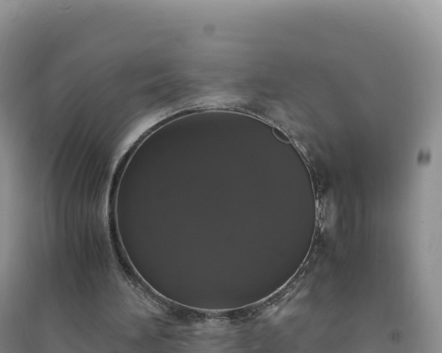 X0000094360196200711091522