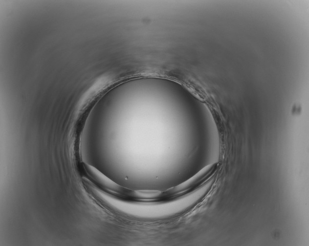 X0000094360197200711091522