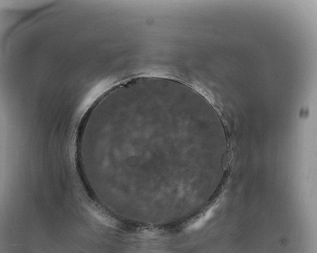 X0000094360199200711091522