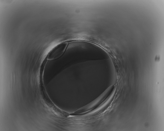 X0000094360200200711091522