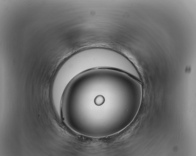 X0000094360201200711091522