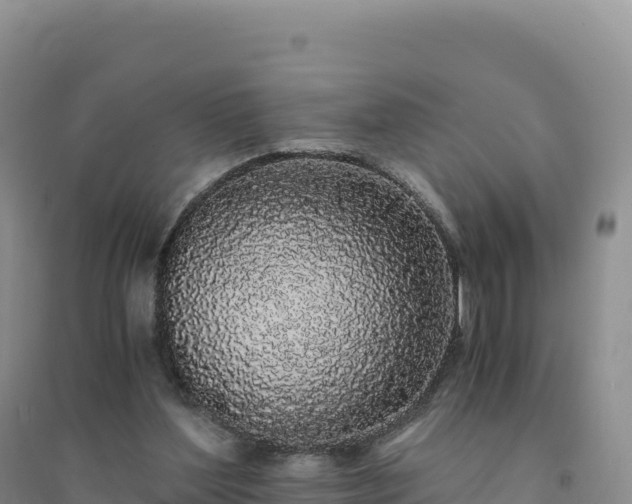 X0000094360204200711091522