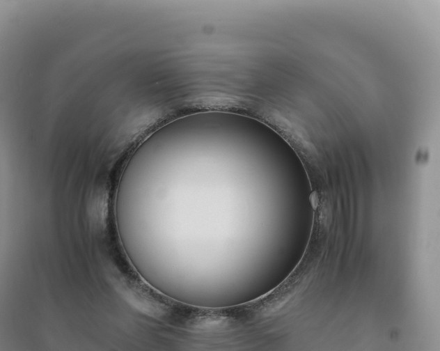 X0000094360206200711091522