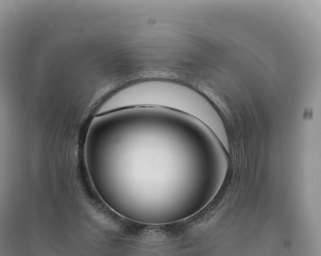 X0000094360207200711091522