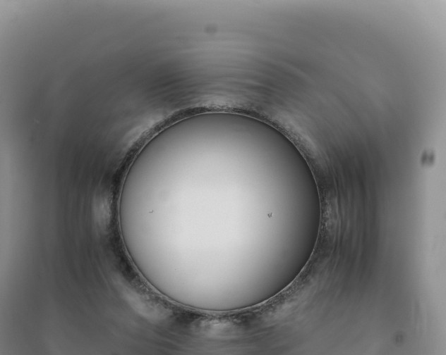 X0000094360208200711091522