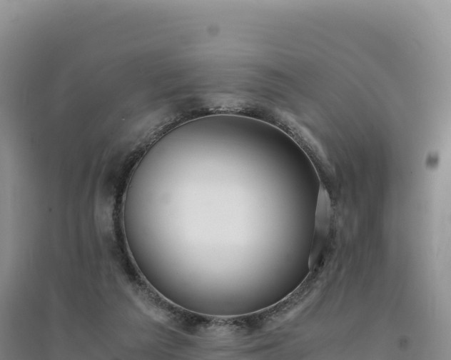 X0000094360209200711091522