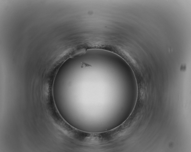 X0000094360211200711091522