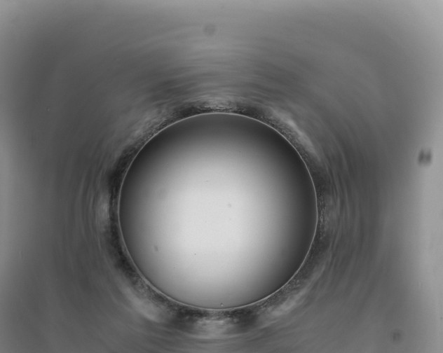X0000094360213200711091522