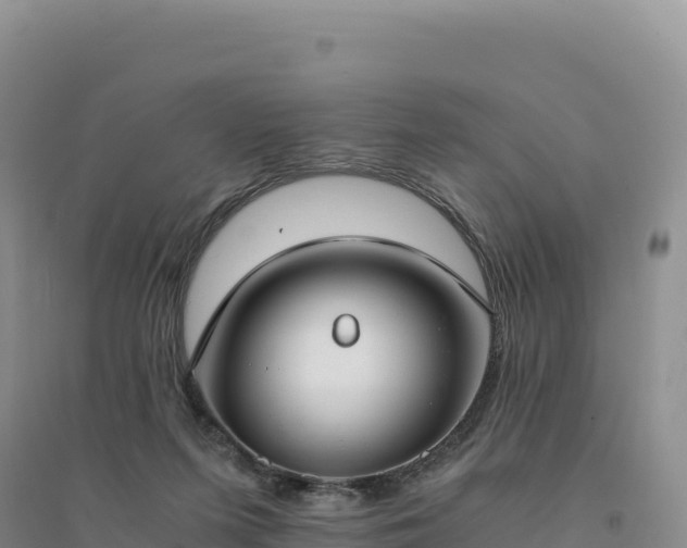 X0000094360215200711091522