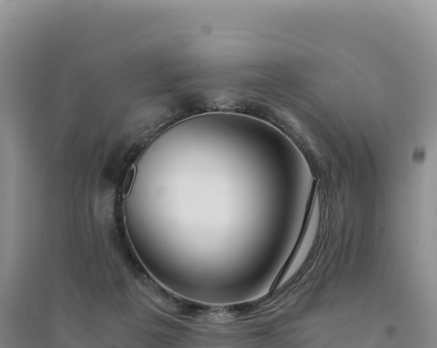 X0000094360217200711091522
