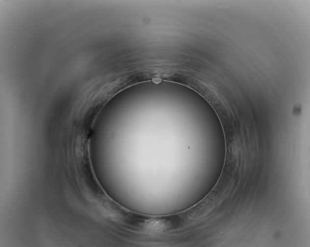X0000094360218200711091522