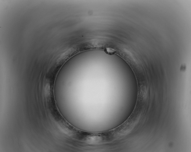 X0000094360220200711091522