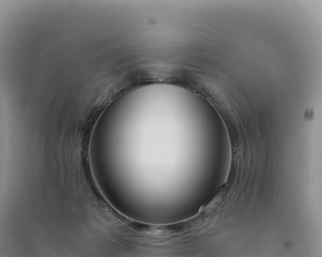 X0000094360221200711091522