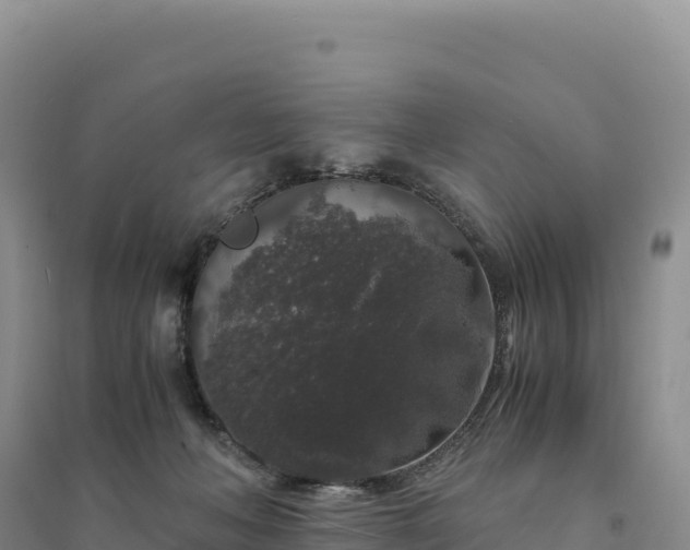 X0000094360222200711091522
