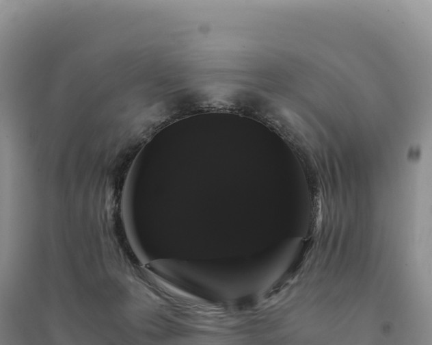 X0000094360223200711091522