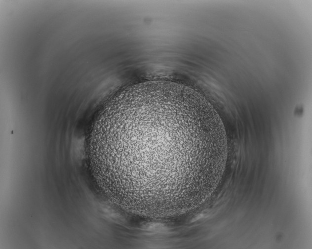X0000094360224200711091522