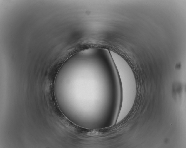 X0000094360225200711091522