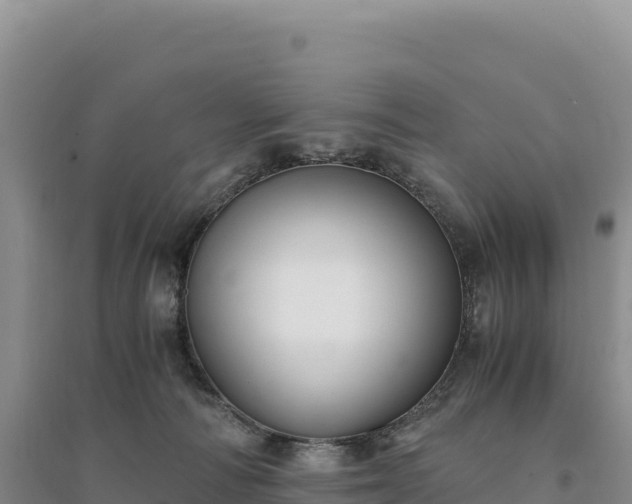 X0000094360226200711091522
