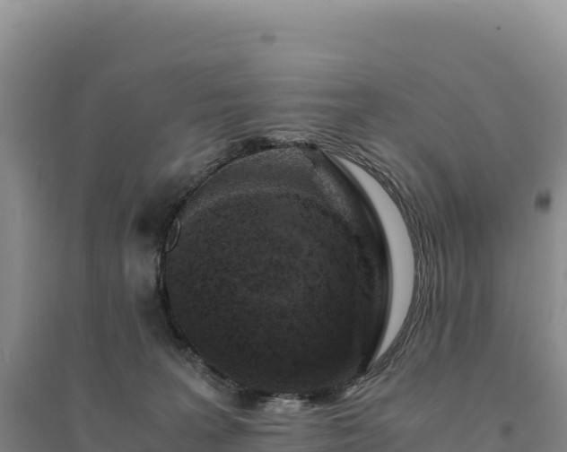 X0000094360227200711091522