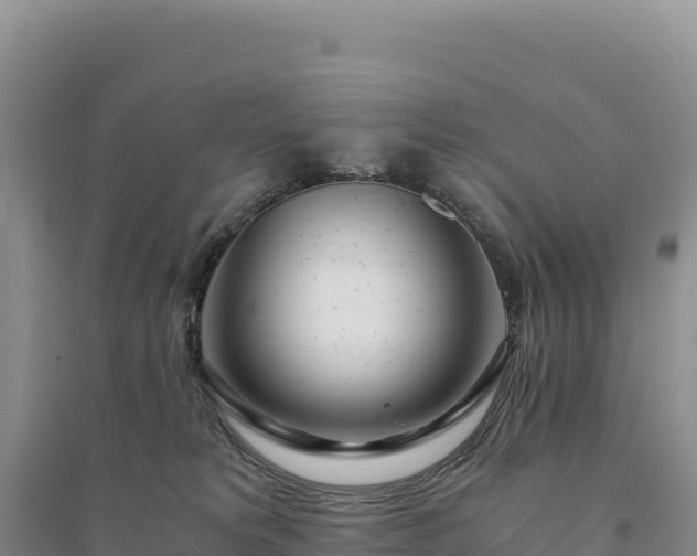 X0000094360229200711091522