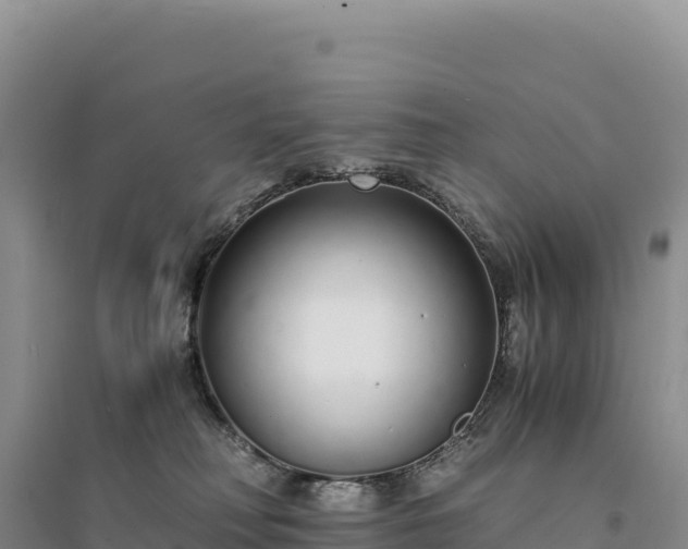 X0000094360230200711091522