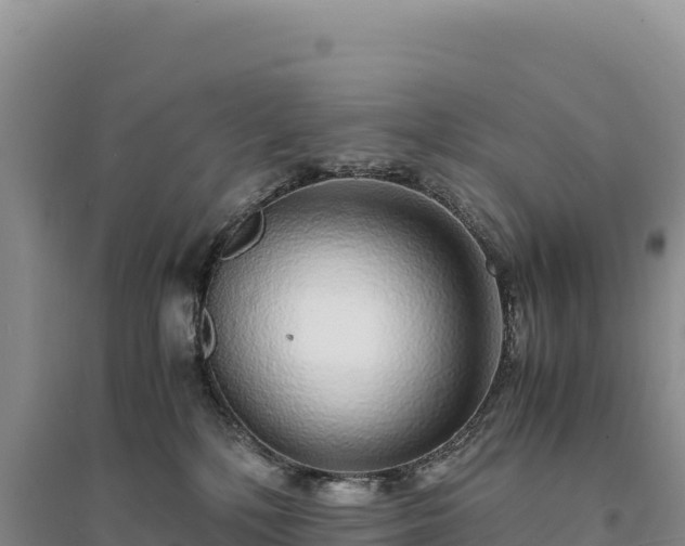 X0000094360232200711091522